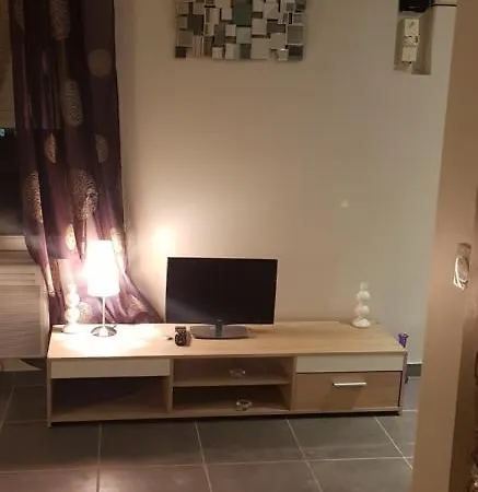 Bel appart moderne Roanne Esterno foto