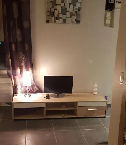 Bel Appart Moderne Roanne