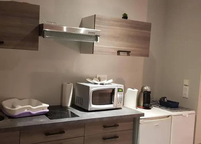 Bel Appart Moderne Roanne